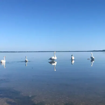 Paulina Nadole (Pomerania)