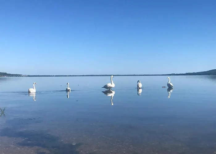 Paulina Nadole (Pomerania)
